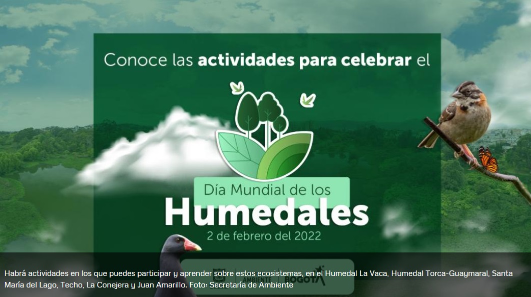 Cada 2 de febrero se celebra el Día Mundial de los Humedales, decretado desde 1997
