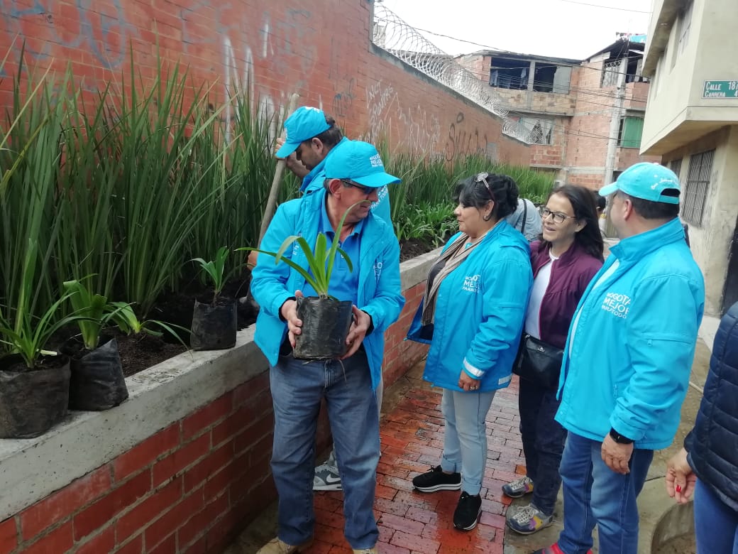 Con lirios embellecimos el ingreso a un colegio en Bogotá intervenido por la Alcaldía